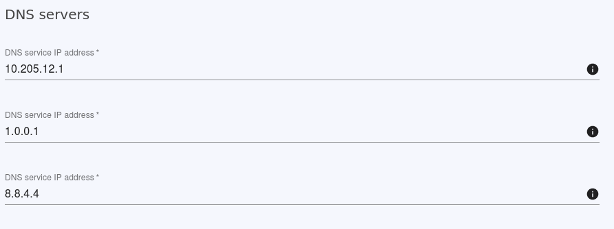 DNS configuration with two selected servers (1.1.1.1 y 8.8.4.4)